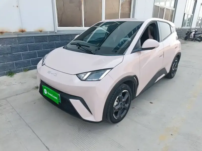 BYD Seagull, 2024
