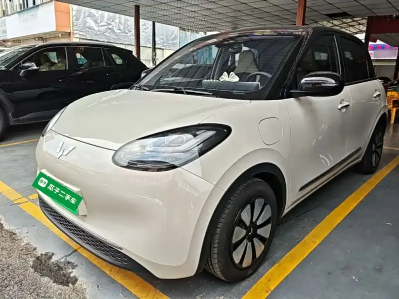 Wuling Bingo, 2024