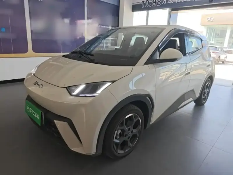 BYD Seagull, 2024
