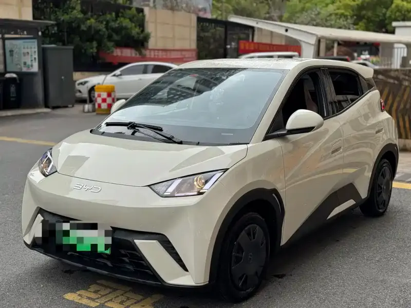 BYD Seagull, 2024