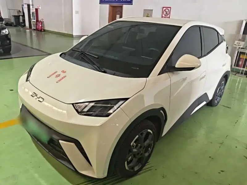 BYD Seagull, 2025