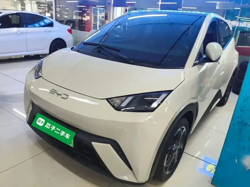 BYD Seagull, 2025