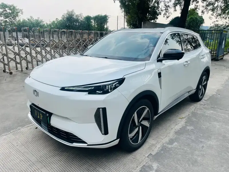 Qiyuan Q05, 2024
