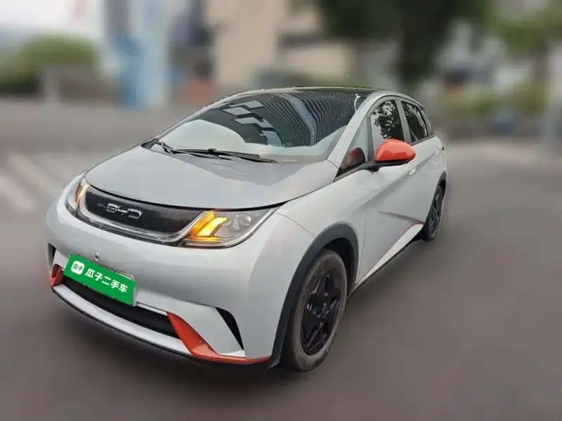 BYD Dolphin, 2022