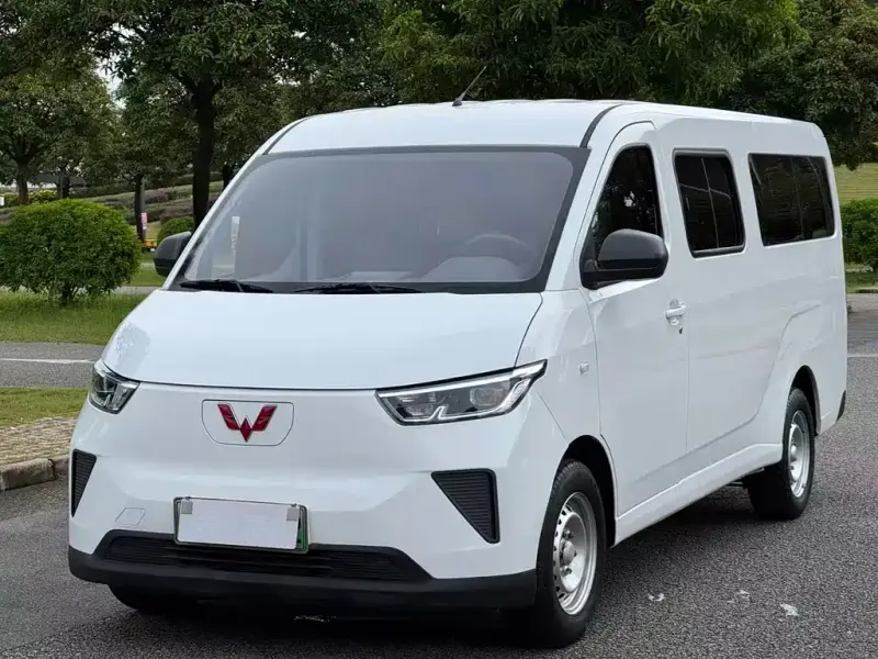 Wuling Yangguang, 2024