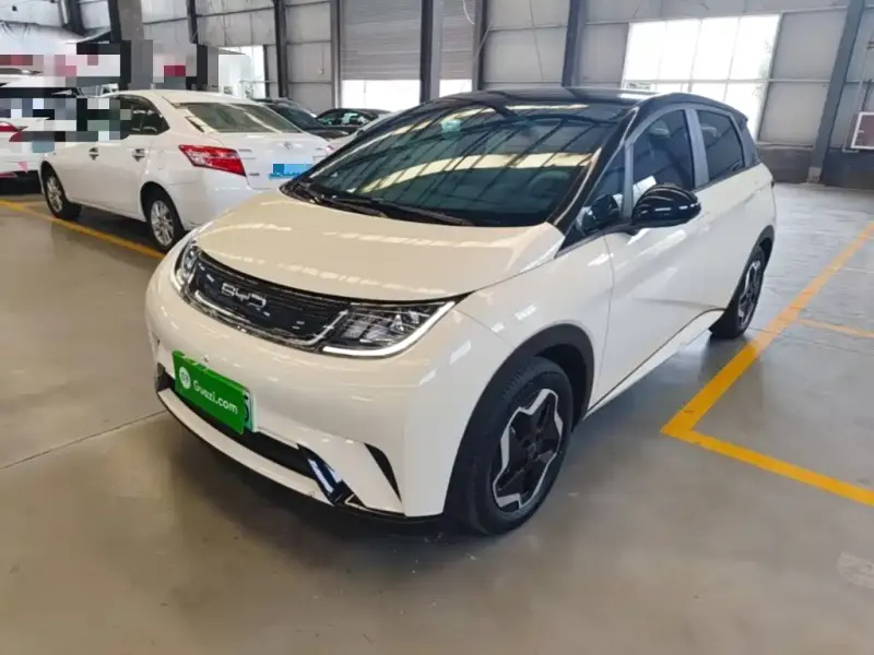 BYD Dolphin, 2022