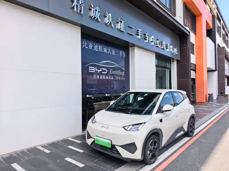 BYD Seagull, 2025