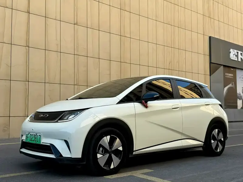 BYD Dolphin, 2023