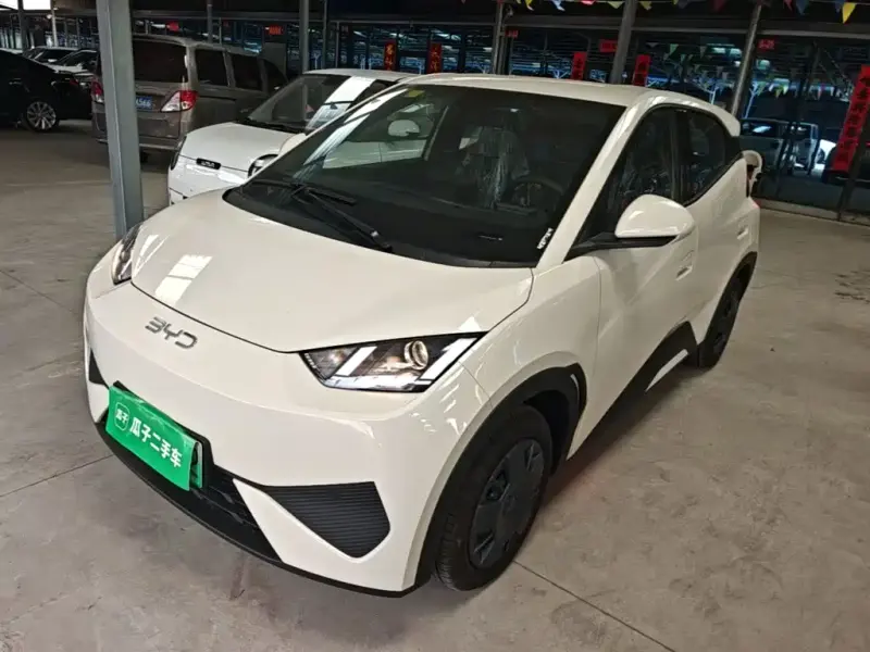 BYD Seagull, 2026