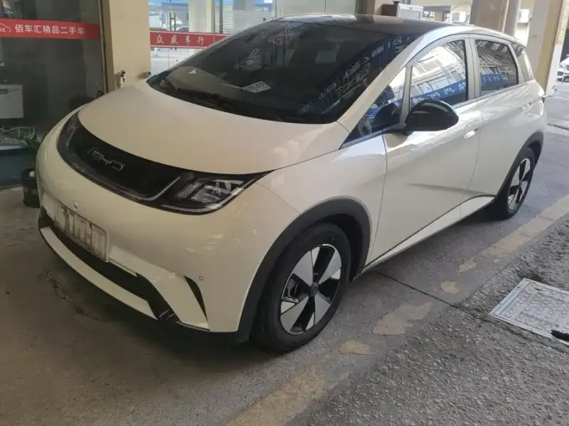 BYD Dolphin, 2023