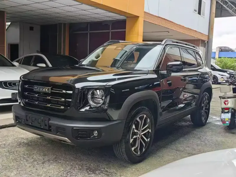 Haval Big Dog, 2021