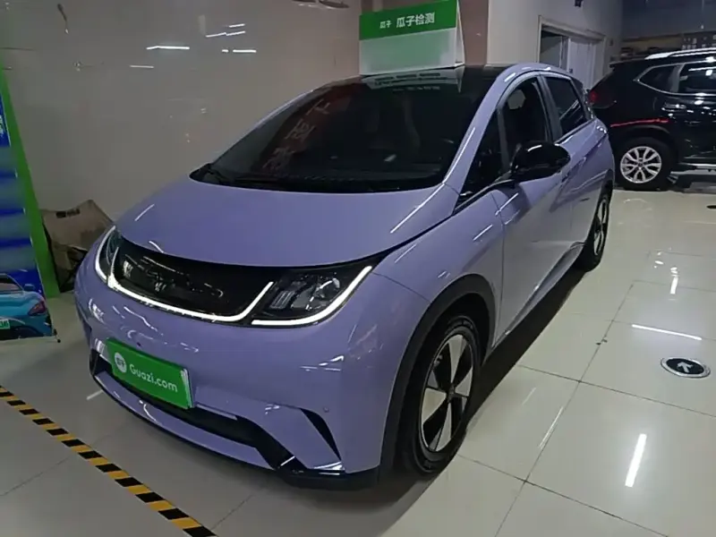 BYD Dolphin, 2024
