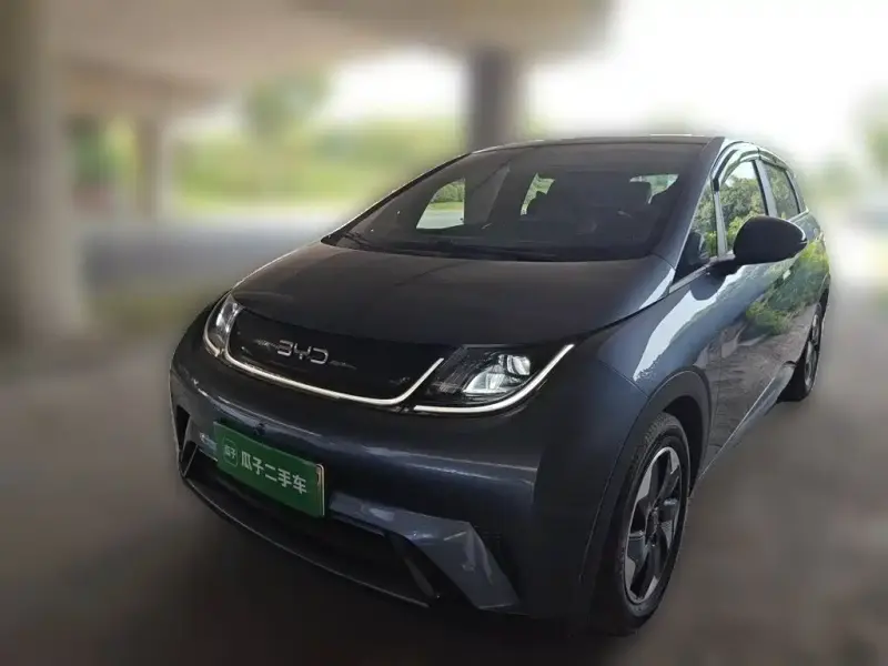 BYD Dolphin, 2024
