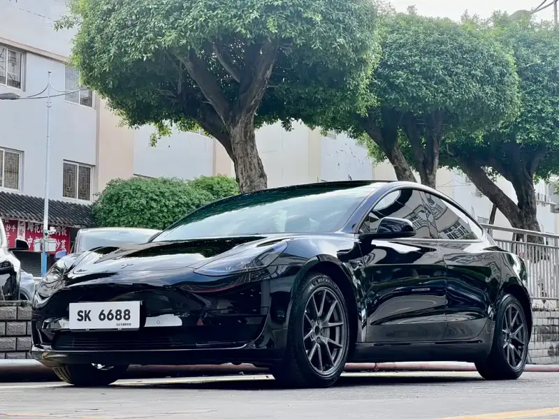 Tesla Model 3, 2023