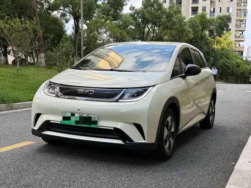 BYD Dolphin, 2025