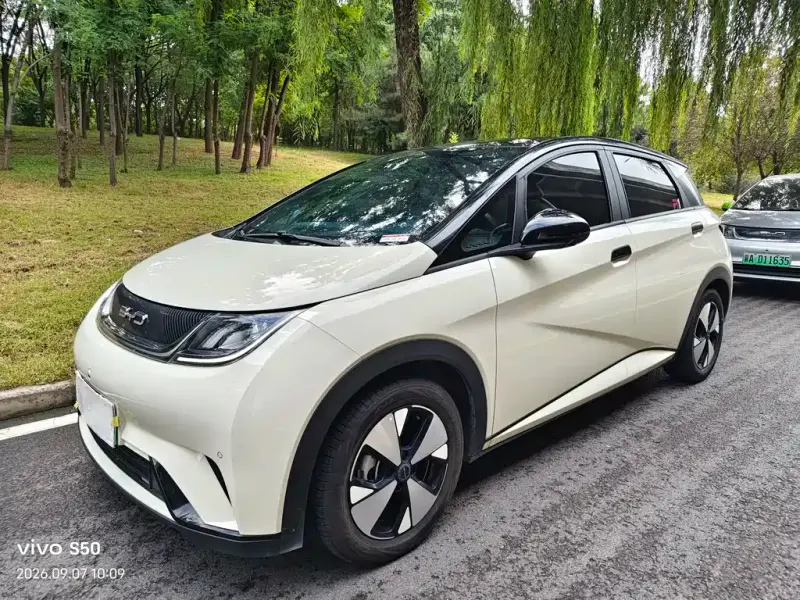 BYD Dolphin, 2024