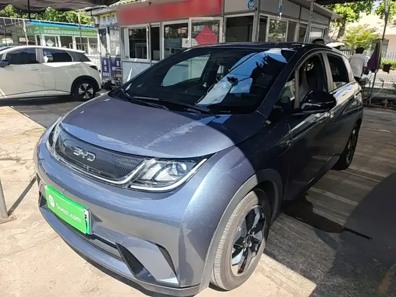 BYD Dolphin, 2025
