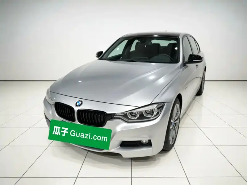 BMW 3 Series BMW 3 Series 2019 320Li M Sport Package, 2019 — фото 1