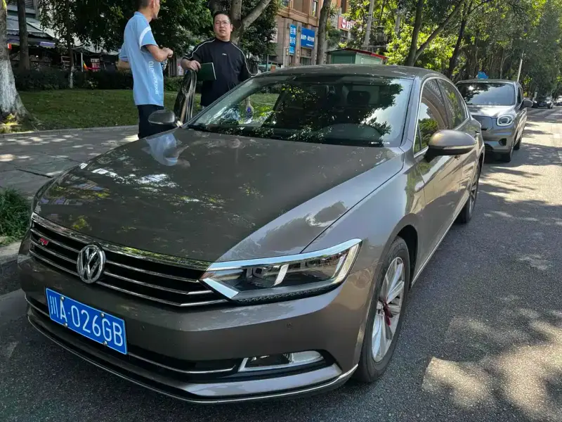 Volkswagen Magotan, 2019