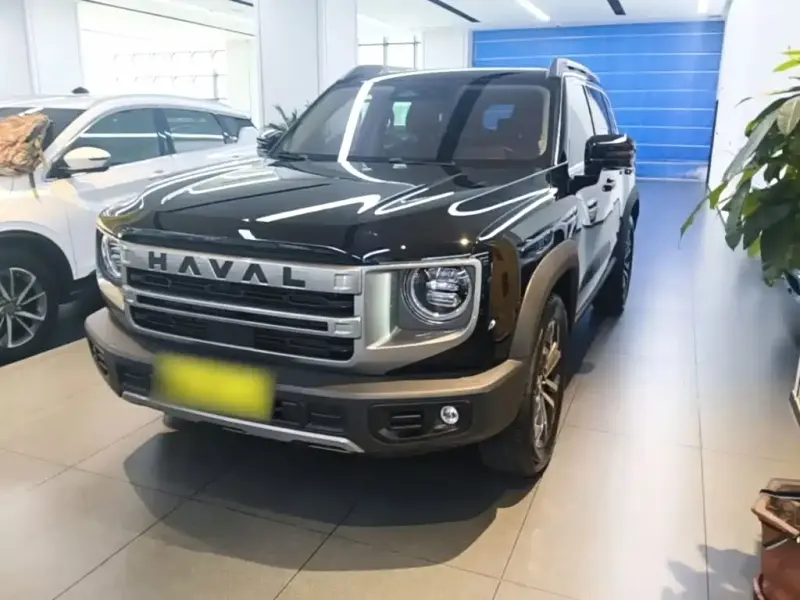 Haval Big Dog, 2024