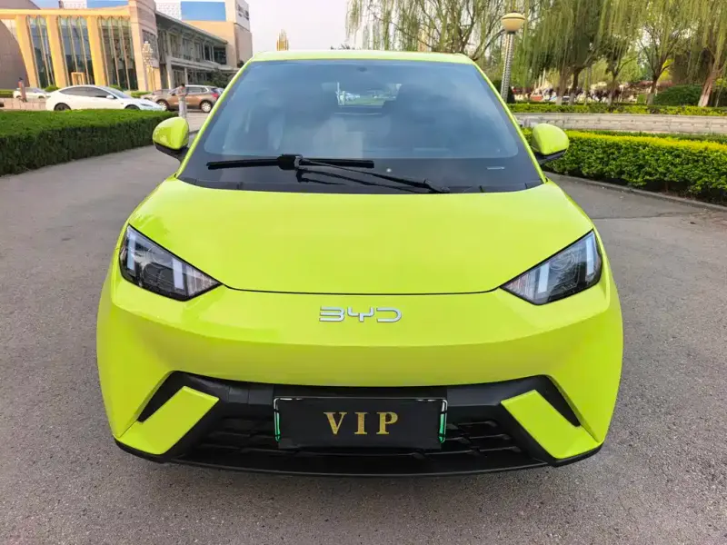 BYD Seagull, 2024
