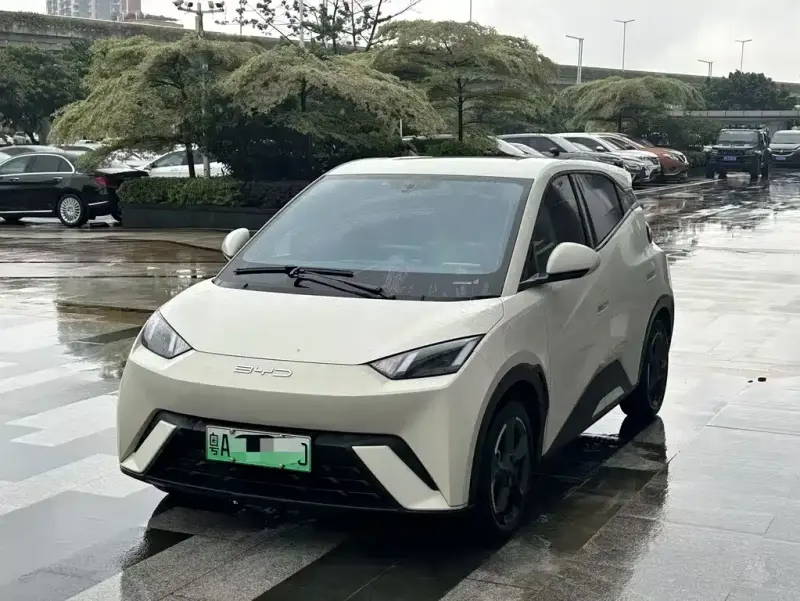 BYD Seagull, 2023