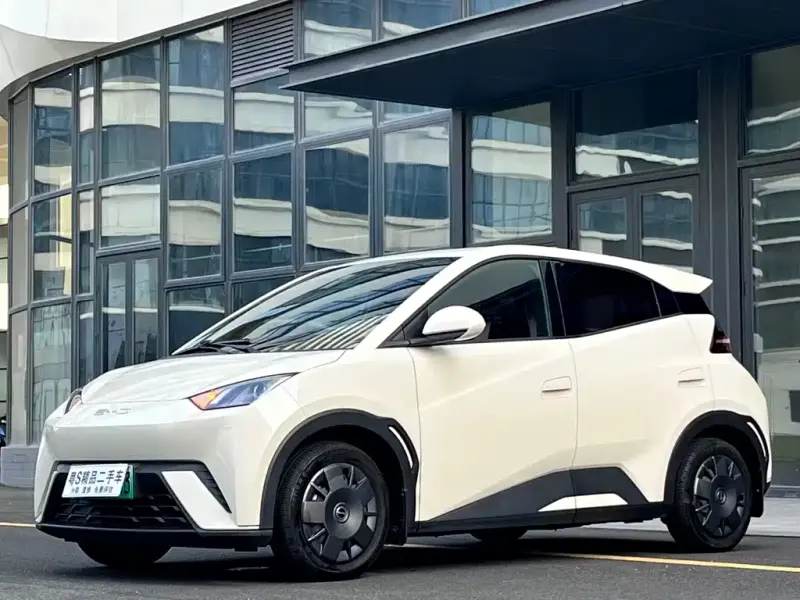 BYD Seagull, 2023