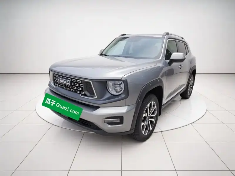 Haval Big Dog PLUS, 2024