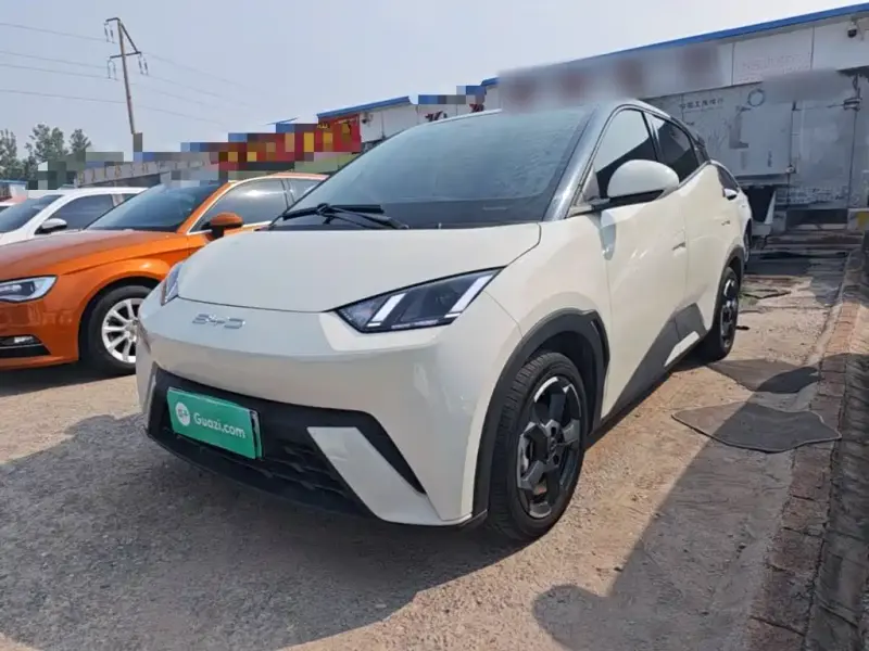 BYD Seagull, 2024