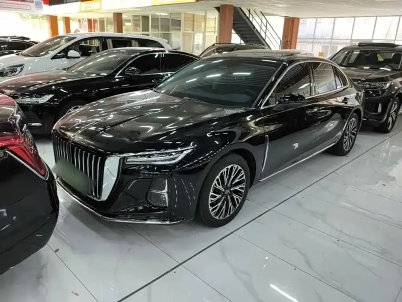 Hongqi H5, 2025