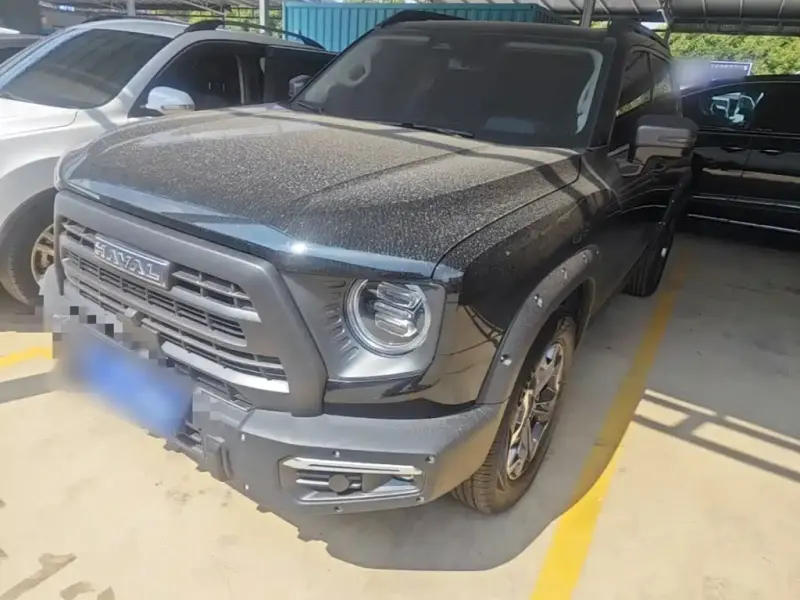 Haval Big Dog, 2024