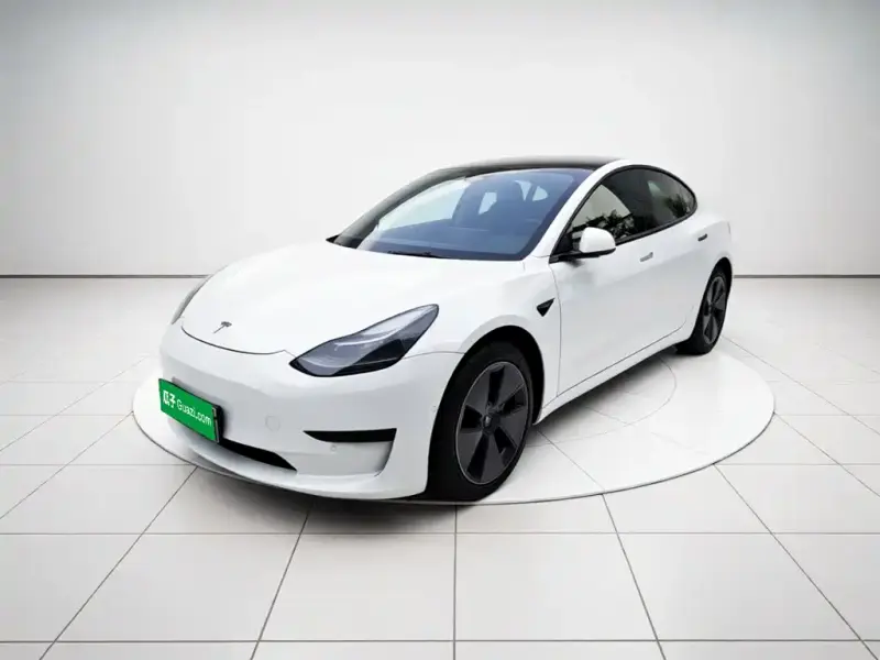 Tesla Model 3 Tesla Model 3 2021 Standard Range RWD Upgrade Edition 3D6, 2021 — фото 1