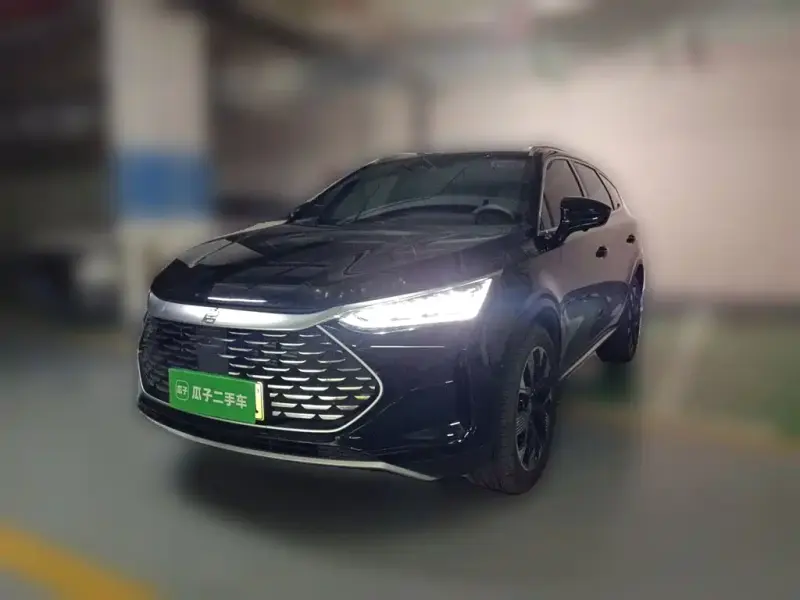 BYD Tang New Energy, 2024