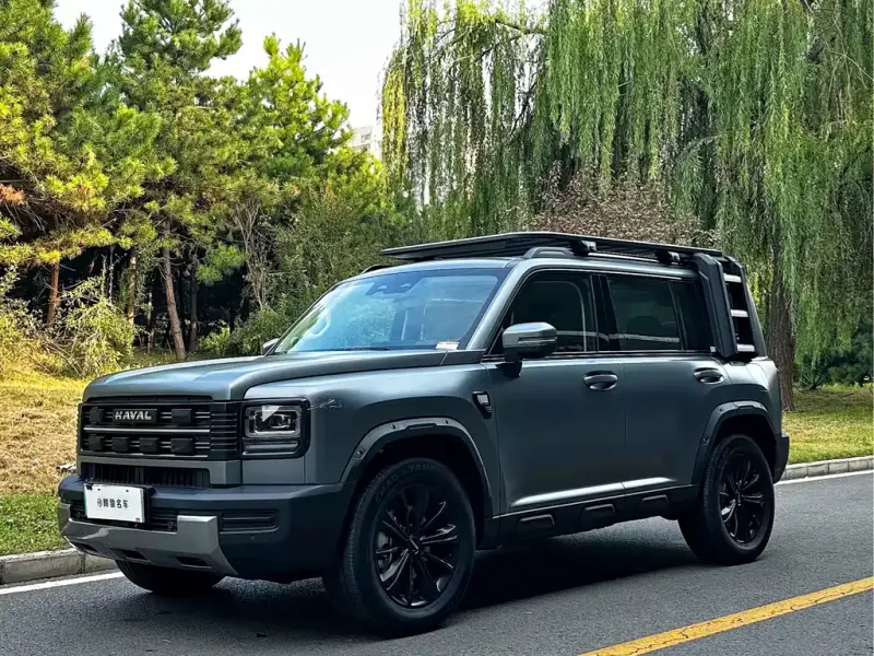 Haval Menglong New Energy, 2026