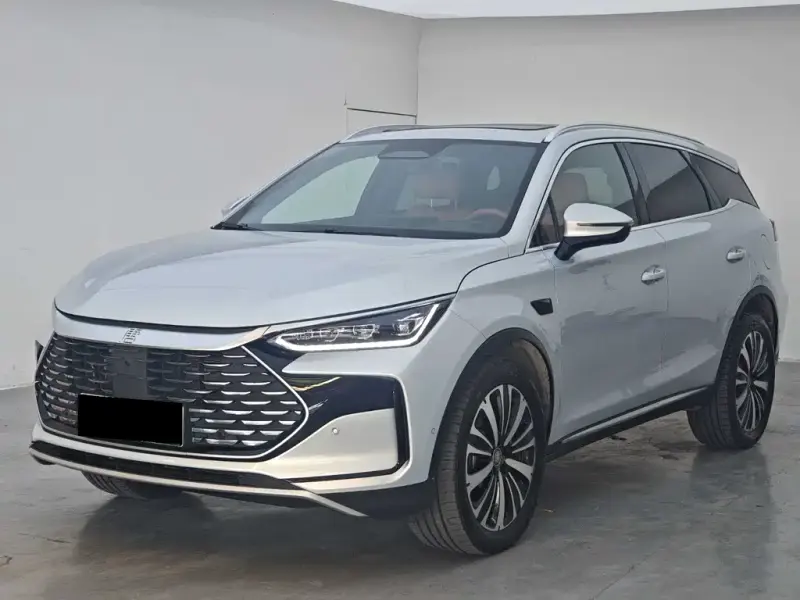BYD Tang New Energy, 2026