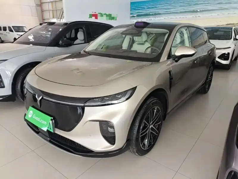 VOYAH Zhiyin, 2026