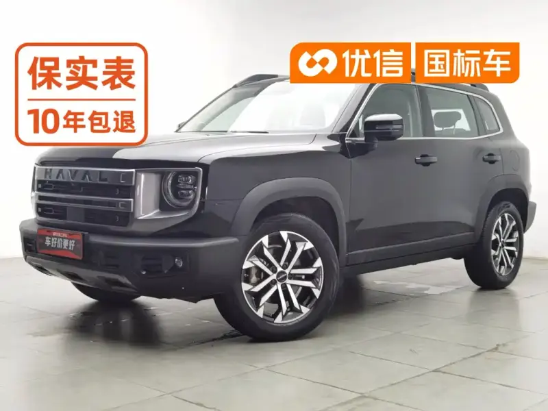 Haval Big Dog, 2024