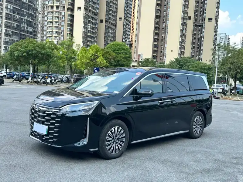 BYD Xia, 2025