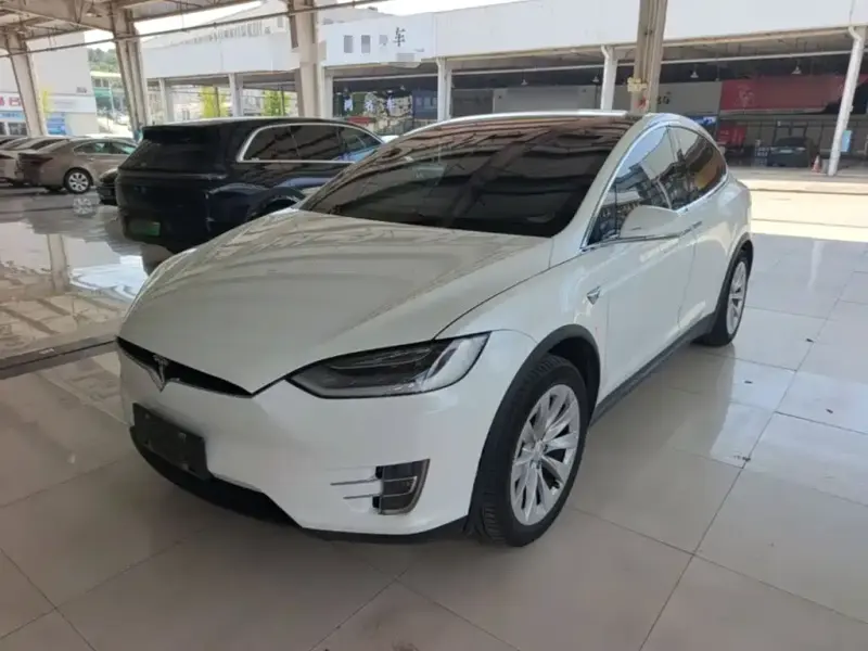 Tesla Model X Tesla Model X 2017 Model X 100D Long Range Edition, 2019 — фото 1