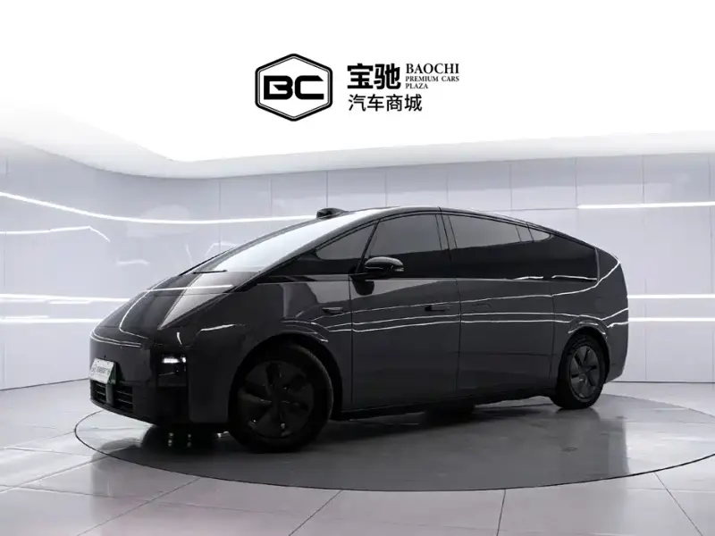 Li Auto Li MEGA, 2024