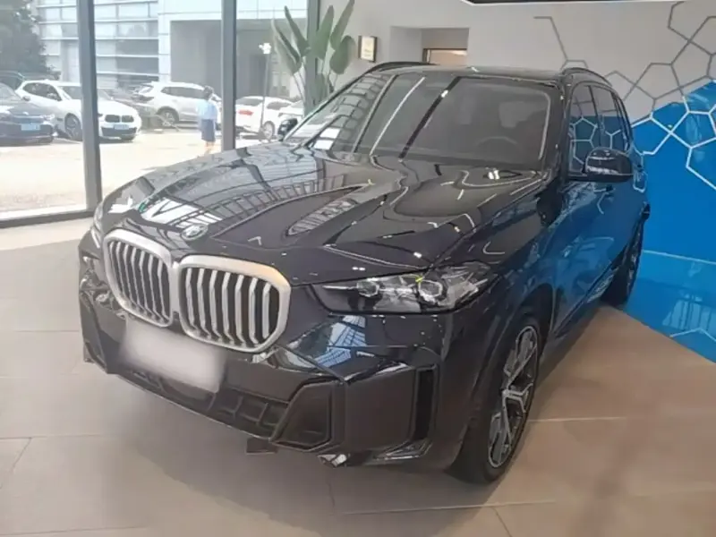 BMW X5 BMW X5 2023 xDrive 30Li Premium Type M Sport Night Package, 2025 — фото 1