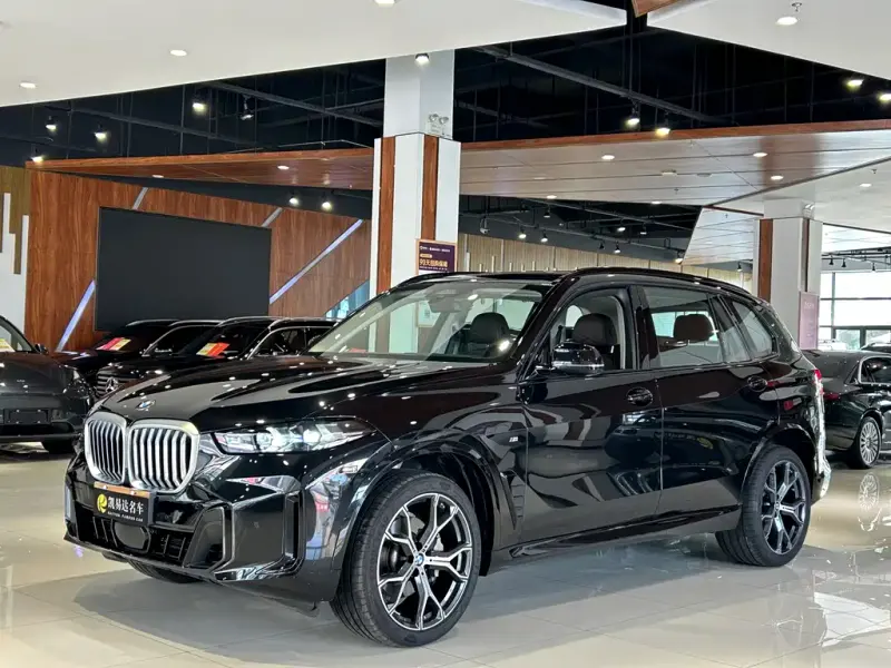 BMW X5 BMW X5 2023 xDrive 30Li Premium Type M Sport Night Package, 2025 — фото 1