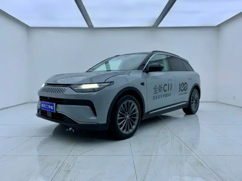 Leapmotor C11, 2024