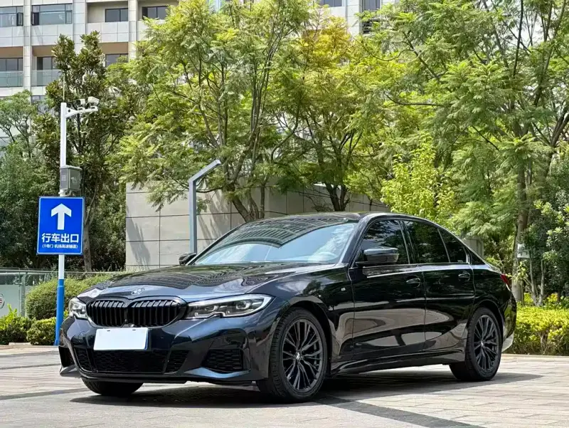 BMW 3 Series BMW 3 Series 2020 325i M Sport Night Package, 2020 — фото 1