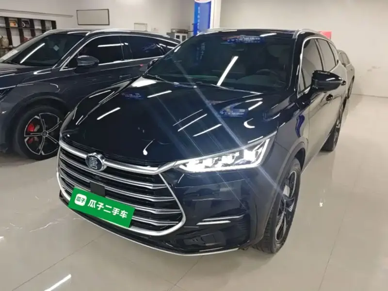 BYD Tang New Energy, 2024