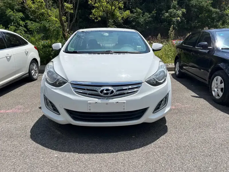 Hyundai Elantra Langdong, 2014