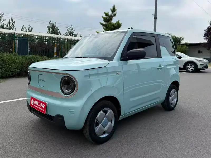 Galaxy Panda, 2024