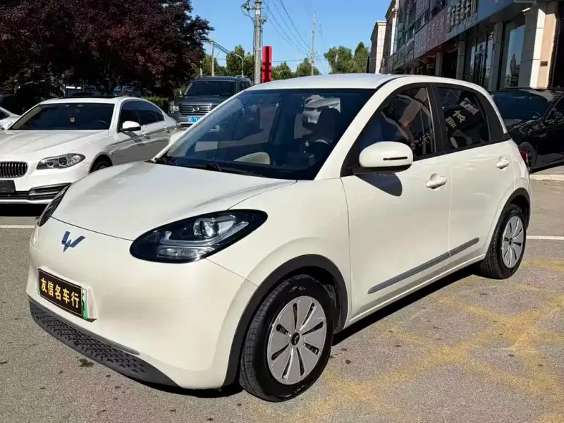 Wuling Bingo, 2023