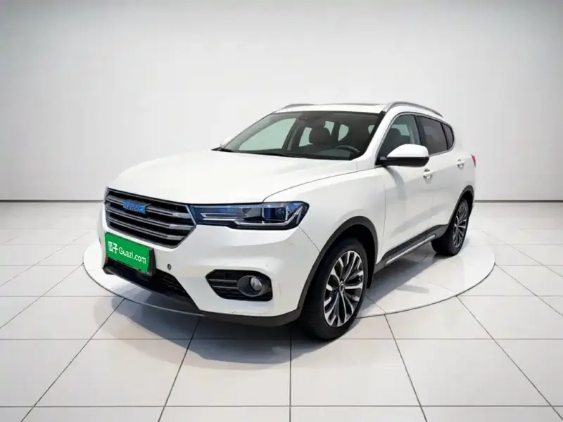 Haval H6 Haval H6 2017 Blue Label 2.0T Auto 2WD Fashion Leader Type, 2017 — фото 1