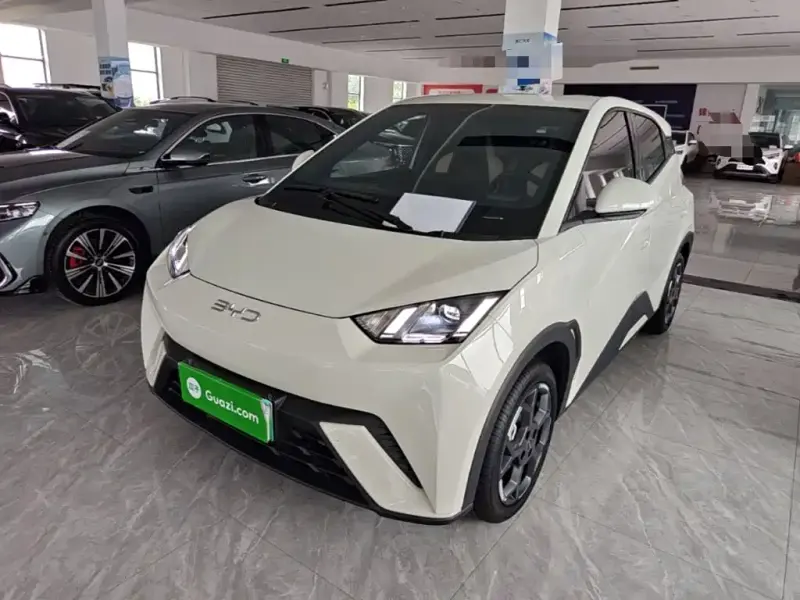 BYD Seagull, 2024